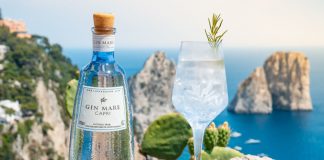 Celebra el Día del Gin Tonic con Gin Mare Capri gin mare capri dia internacional del gin tonic