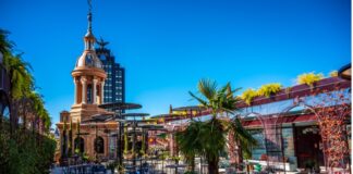 Terracita Social Club: tu nueva escapada de fin de semana en Madrid terracita social club abc serrano emprendedores